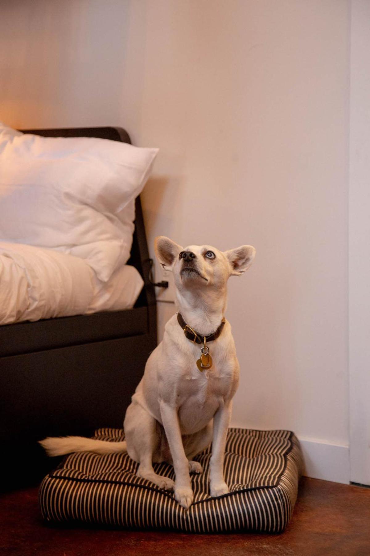 Reading Viaduct Loft, City Center, Contactless Check In Philadelphia Ngoại thất bức ảnh